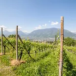 Apartment Barrique Merano