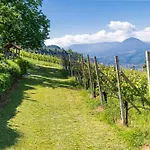 Barrique Apartment