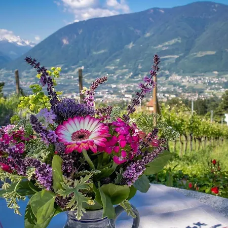 Barrique Appartement Merano