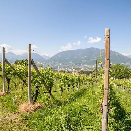 Apartment Barrique *