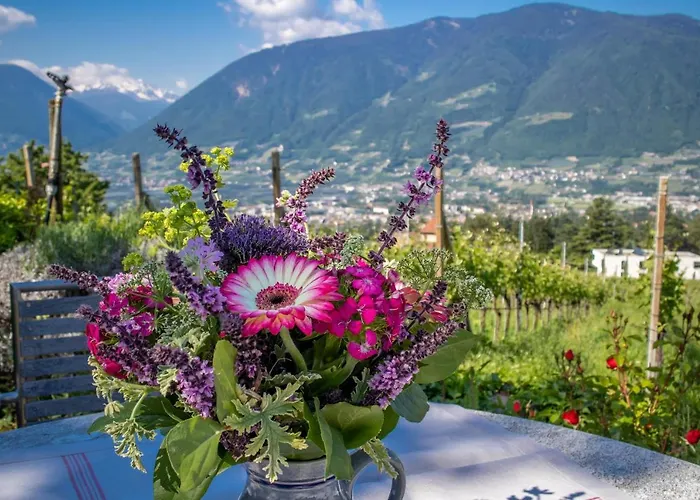 Barrique Apartment Merano