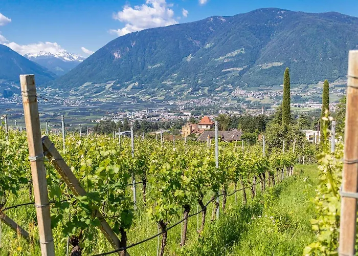 Barrique Apartment Merano