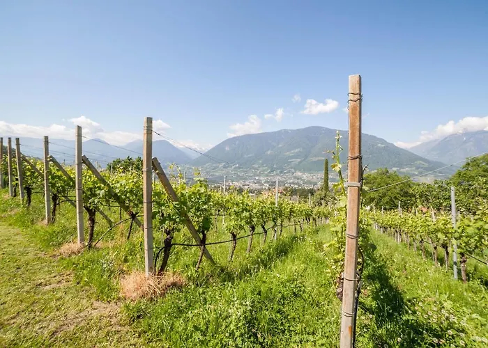 アパート Barrique *